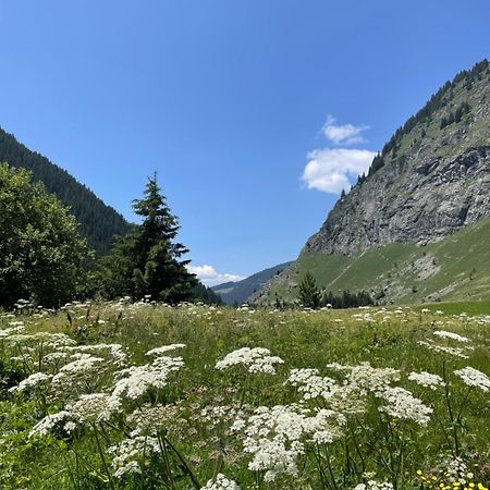 T2 Vue Sur Le Parc De La Vanoise La Plagne Buitenkant foto