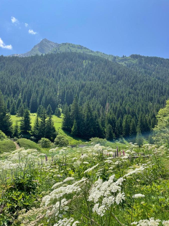 T2 Vue Sur Le Parc De La Vanoise La Plagne Buitenkant foto