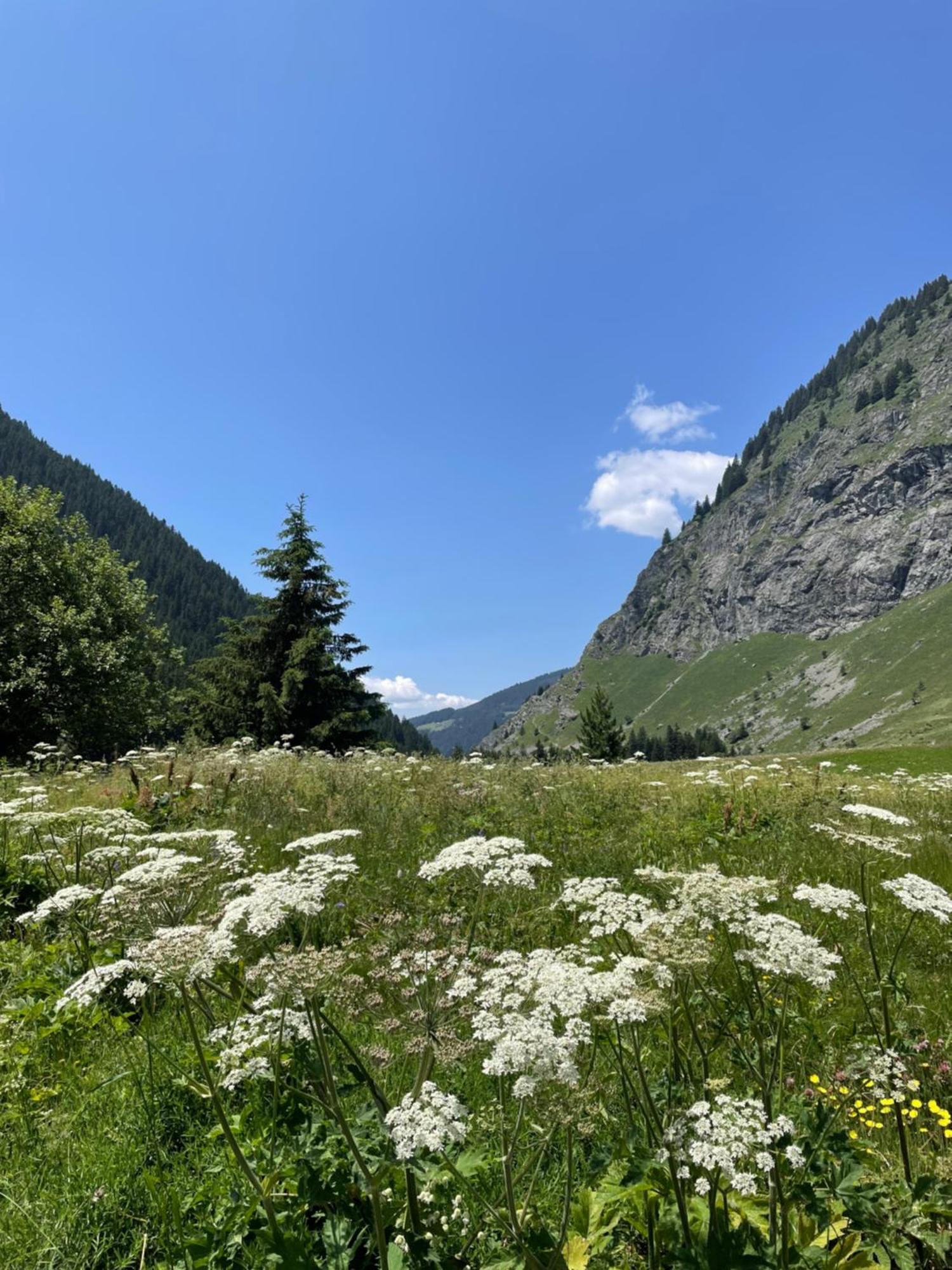 T2 Vue Sur Le Parc De La Vanoise La Plagne Buitenkant foto